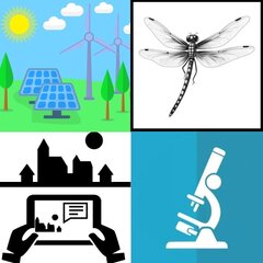 Thematische gastlessen