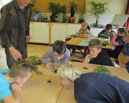 Gastles: ontstaan van planten (PO groep 5-8)