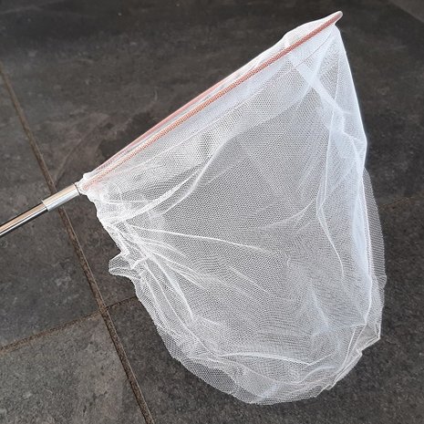 Insectenvangnet inflora