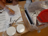 W&T lessen op de Borgloschool