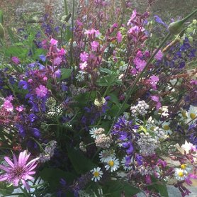 Bloemzadenmengsel 50:  eetbare planten