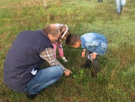 Docentencursus 'Educatief gebruik groen schoolplein'